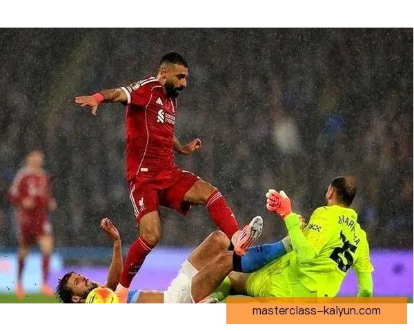 德甲黄黑球迷狂热，展现出球队强大的支持力度与凝聚力